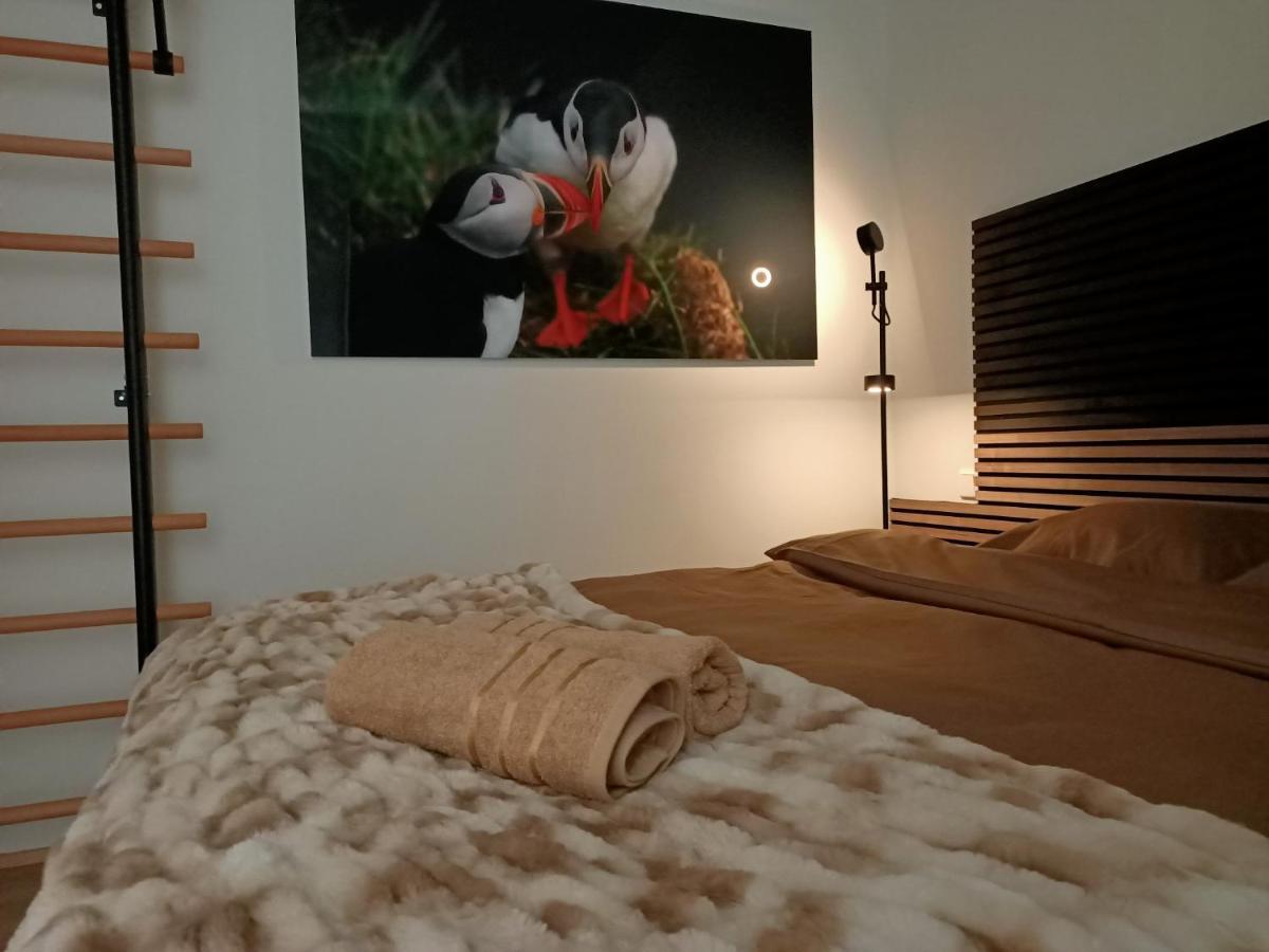 Puffin Nest, Superior Apartment Рейкьявик Экстерьер фото